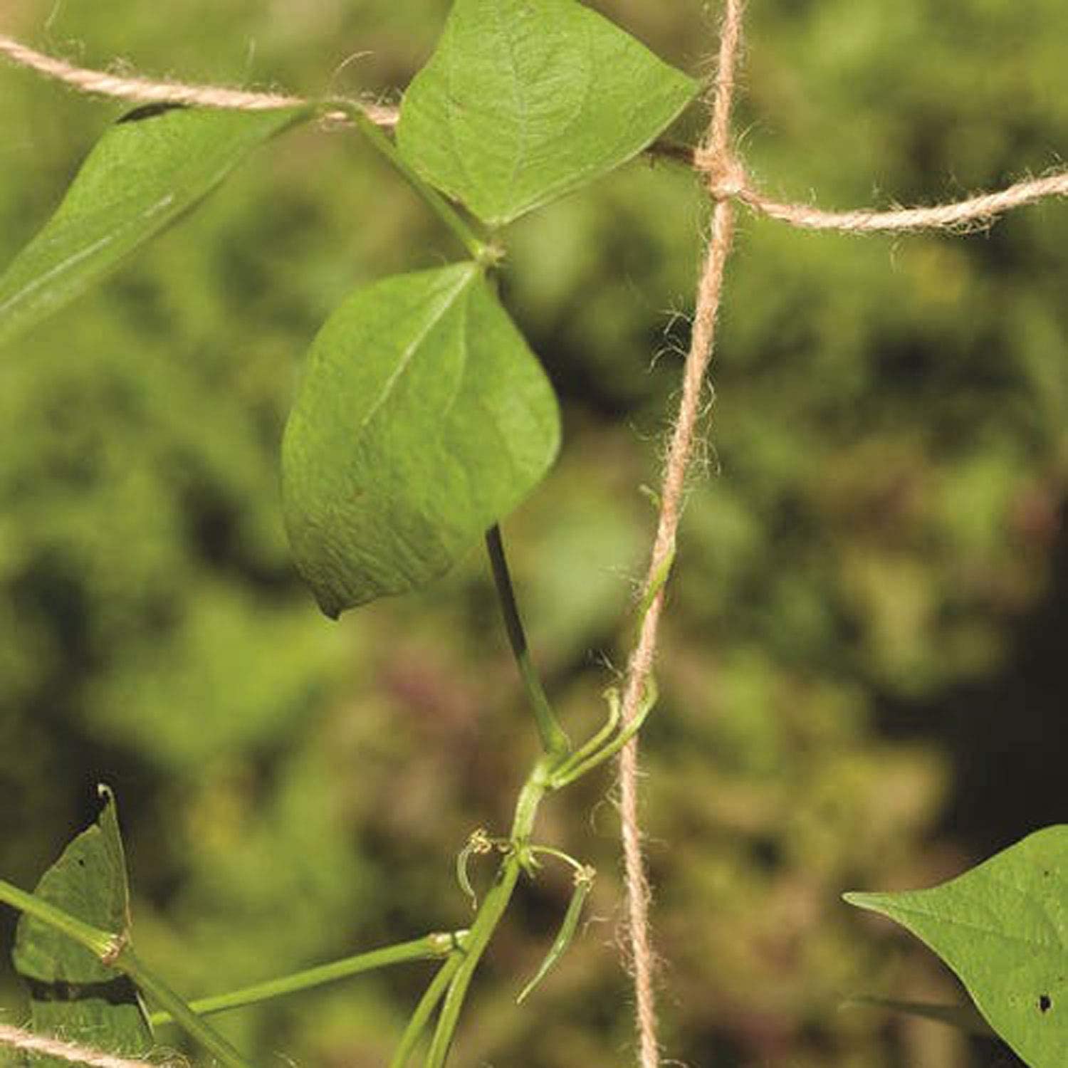 Hc93edd1b6e7447c98966d72ef764c5a2r Hc93edd1b6e7447c98966d72ef764c5a2r