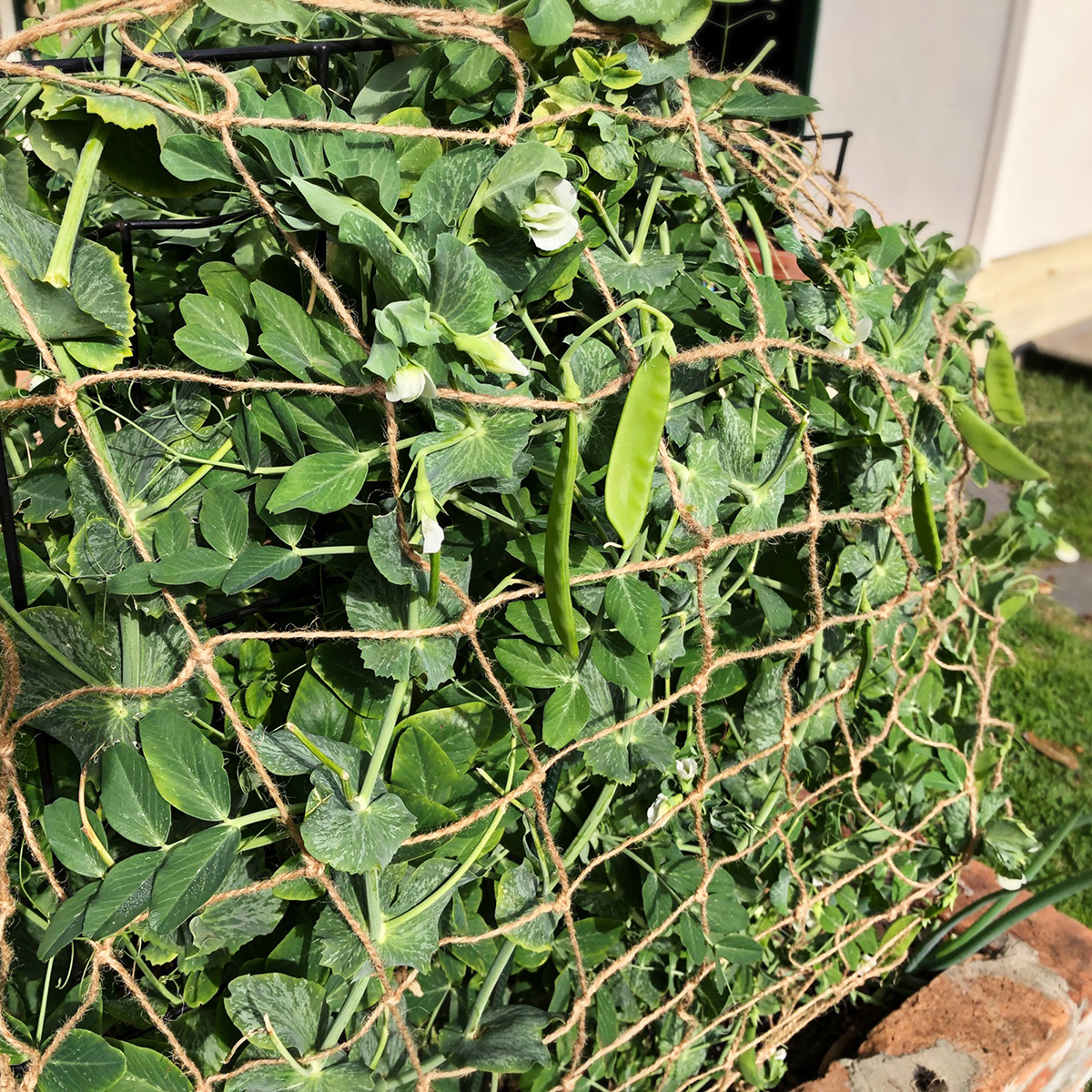 He2b767d886ff423abe707e0b180acd2dW He2b767d886ff423abe707e0b180acd2dW