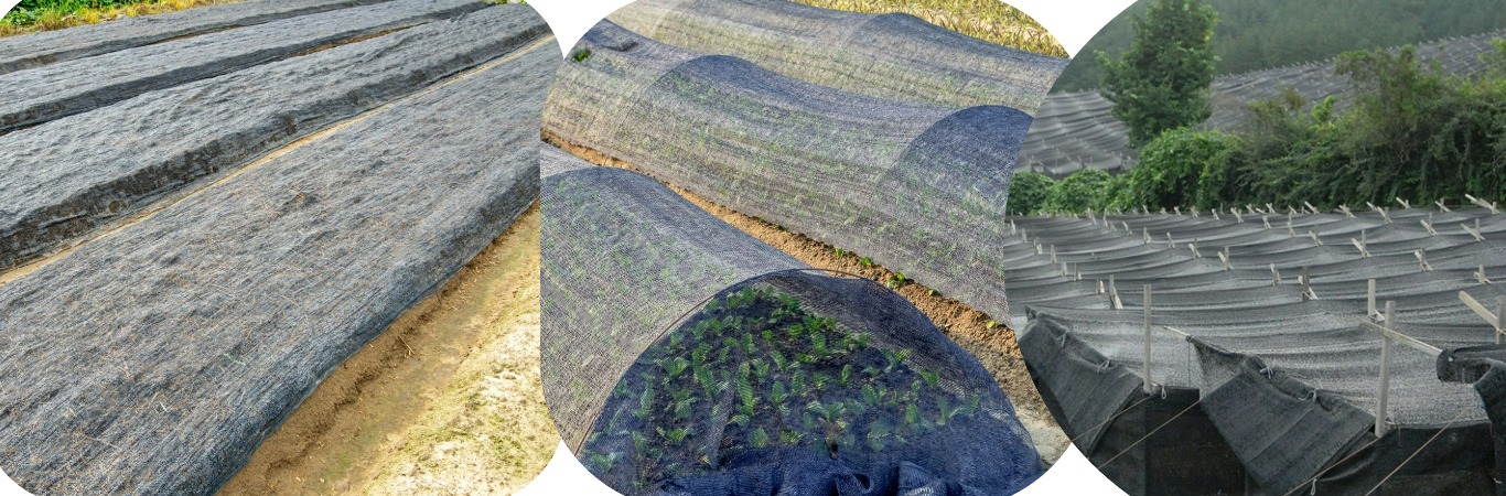 75% black shade net application