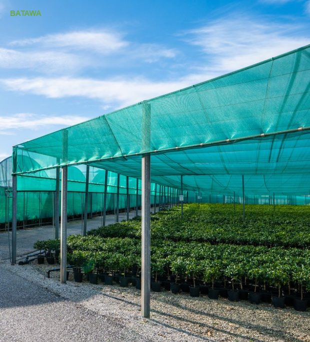 Greenhouse Shade Cover ZL50green