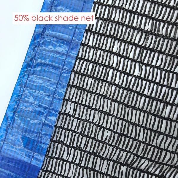 微信图片_20241125102535(1)