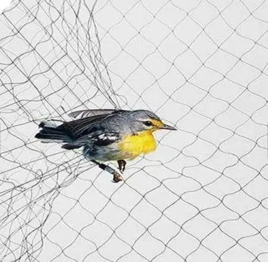Bird Mist Net 