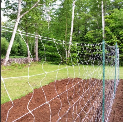 Get to know Many Benefits of Using Trellis netting for Beans