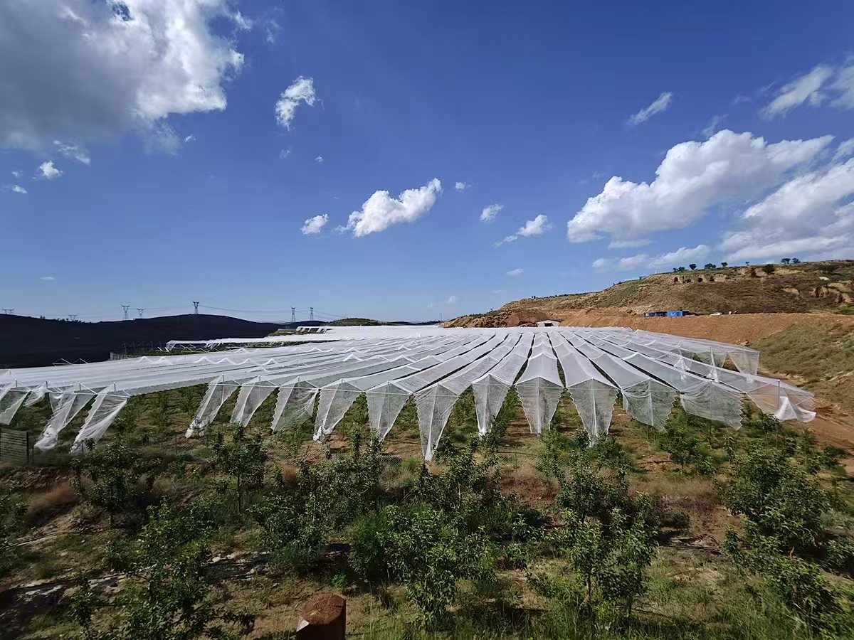 How to install overhead hail netting?