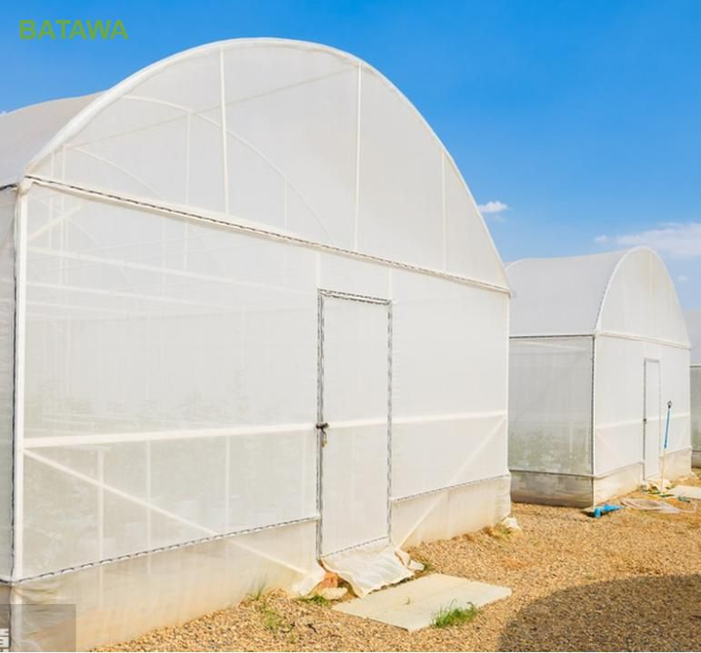 Anti Insect Net 60 Mesh