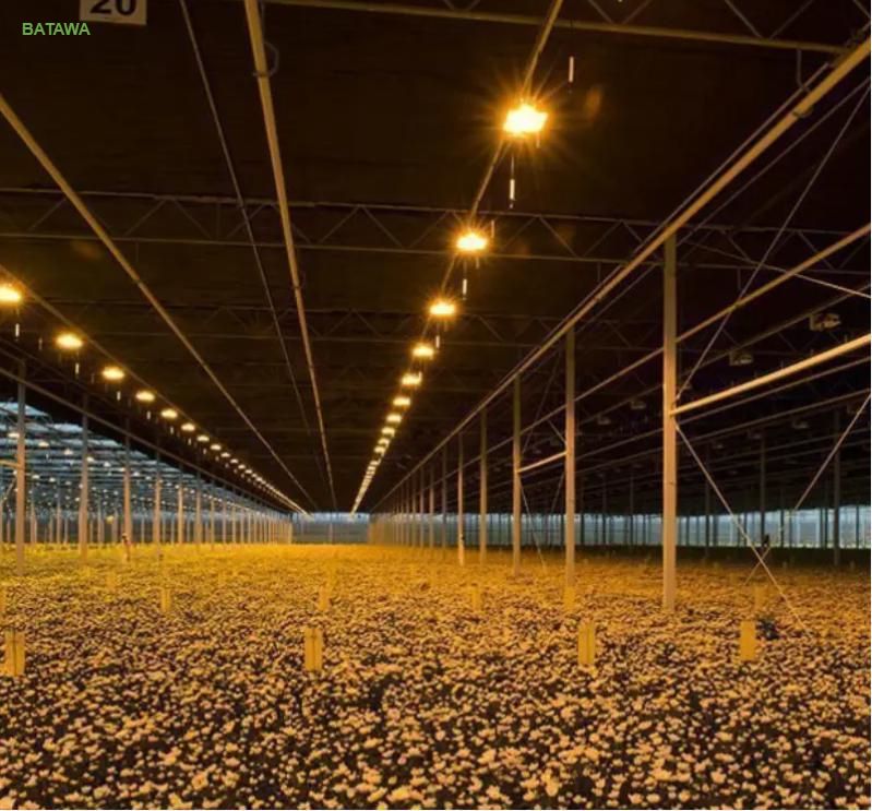 Greenhouse Blackout Screen