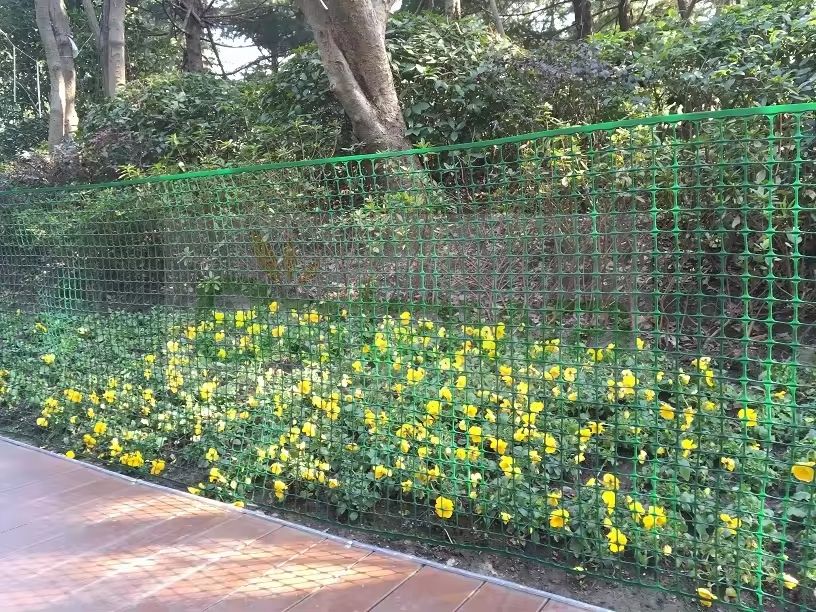 Maille carrée en plastique pour clôture de jardin et ferme