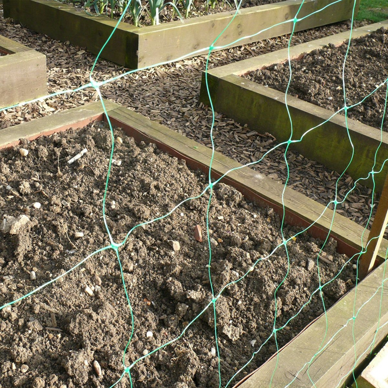 How To Choose Right Trellis Netting?