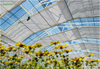 Aluminum Shade & Energy-Saving Screens 35W