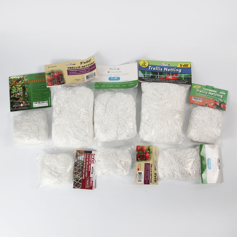 H637928d81fb24d07b9eba21b0fadae29B