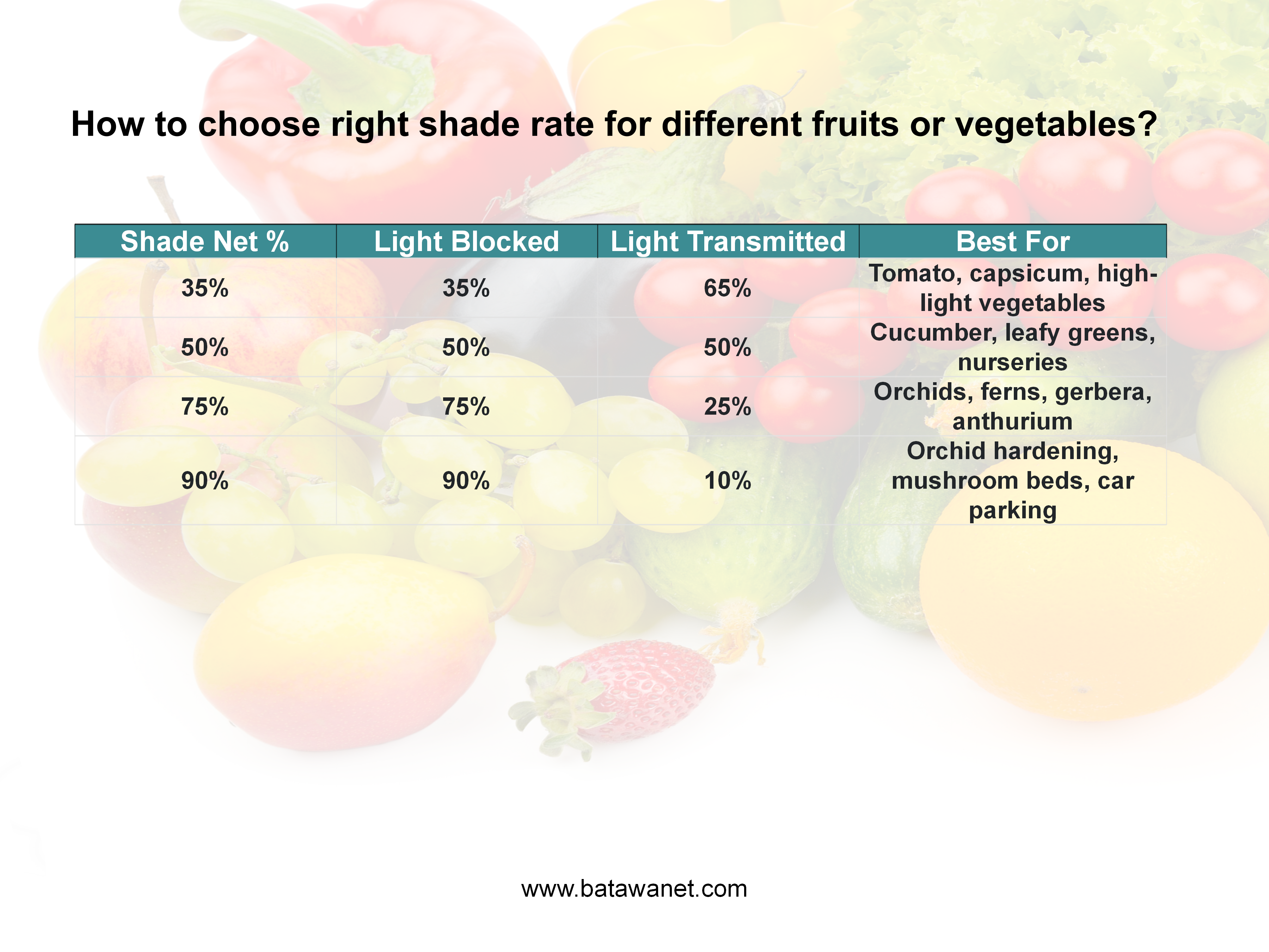 &iquest;C&oacute;mo elegir la proporci&oacute;n de sombra adecuada para diferentes frutas o verduras?